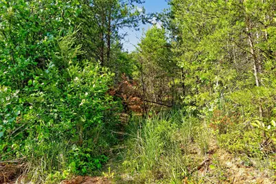 3361 Bethlehem Road, Old Fort, NC 28762 - Photo 36
