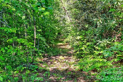 3361 Bethlehem Road, Old Fort, NC 28762 - Photo 40