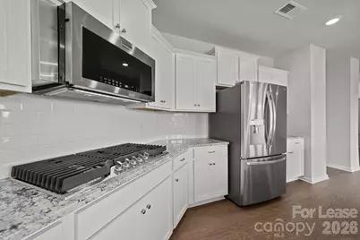 260 Abersham Drive, Mooresville, NC 28115 - Photo 12