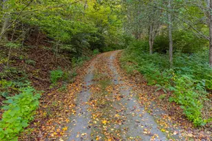 197 Savannah Meadows Trail, Sylva, NC 28779 - Photo 36