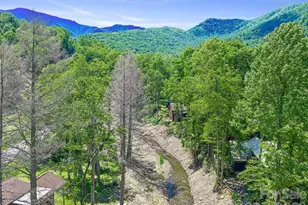 137 Mountain Farm Rd, Burnsville, NC 28714 - Photo 2