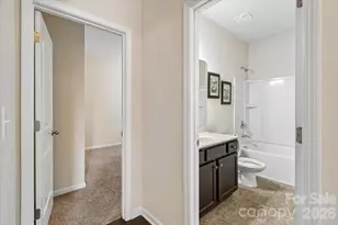 10214 Atkins Ridge Dr, Charlotte, NC 28213 - Photo 30