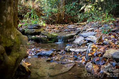 808 Mountain Cove Road, Hendersonville, NC 28792 - Photo 26