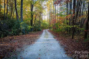 808 Mountain Cove Rd, Hendersonville, NC 28792 - Photo 28