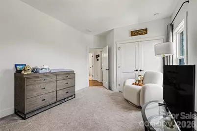 1171 Trinity Ridge Parkway, Fort Mill, SC 29715 - Photo 28