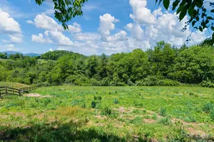 271 Sluder Branch Rd, Leicester, NC 28748 - Photo 22