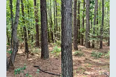 100 Shortoff Trail NW #156, Valdese, NC 28690 - Photo 4