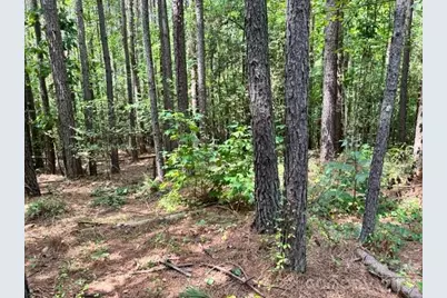 100 Shortoff Trail NW #156, Valdese, NC 28690 - Photo 2