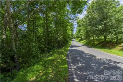 00 Rabbit Hop Road #16 & 17, Spruce Pine, NC 28777 - Photo 2