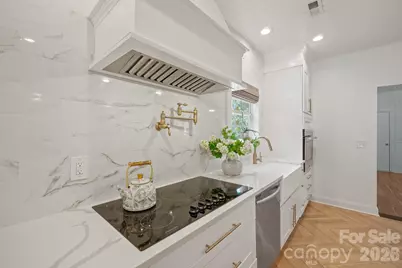 9027 Leah Meadow Lane, Charlotte, NC 28227 - Photo 16