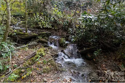 214 Chin Tree Road, Sylva, NC 28779 - Photo 32