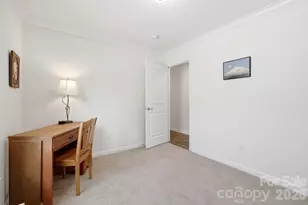 253 Brooklyn Ln, Asheville, NC 28803 - Photo 18