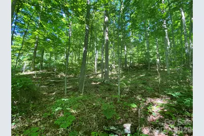 00 Wildwood Drive, Burnsville, NC 28714 - Photo 6