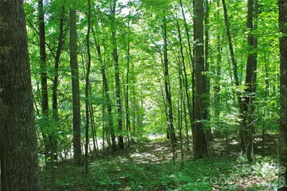 00 Wildwood Drive, Burnsville, NC 28714 - Photo 4