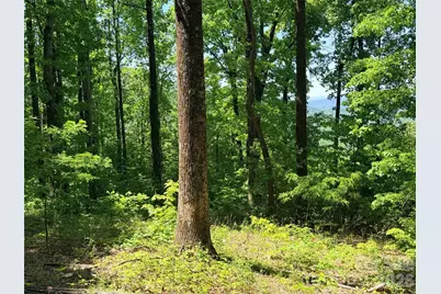 Lot 10 Timbercliff Trail, Black Mountain, NC 28711 - Photo 6