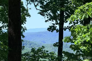 Lot 10 Timbercliff Trail, Black Mountain, NC 28711 - Photo 1