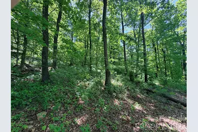 Lot 10 Timbercliff Trail, Black Mountain, NC 28711 - Photo 8