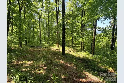 Lot 10 Timbercliff Trail, Black Mountain, NC 28711 - Photo 4