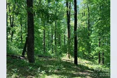 Lot 10 Timbercliff Trail, Black Mountain, NC 28711 - Photo 2