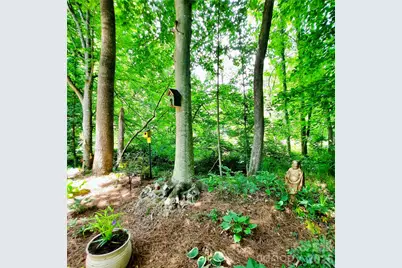 9 Firestone Court, Etowah, NC 28729 - Photo 42