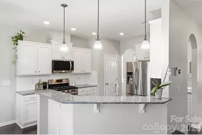 1551 Shannon Falls Drive, Fort Mill, SC 29715 - Photo 20