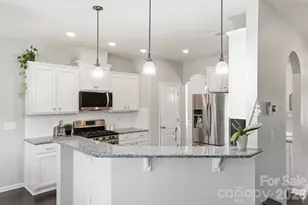 1551 Shannon Falls Dr, Fort Mill, SC 29715 - Photo 20