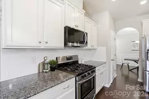 1551 Shannon Falls Dr, Fort Mill, SC 29715 - Photo 18