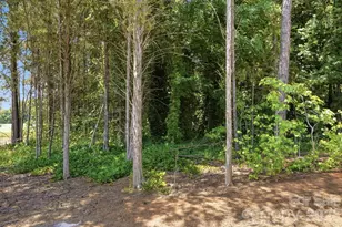 12005 Basking Dr, Charlotte, NC 28214 - Photo 40