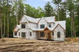 295 Roberts Ln N, Flat Rock, NC 28731 - Photo 10