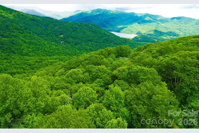 4 White Birch Court #422, Black Mountain, NC 28711 - Photo 8