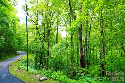 4 White Birch Court #422, Black Mountain, NC 28711 - Photo 4