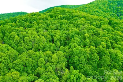 4 White Birch Court #422, Black Mountain, NC 28711 - Photo 16