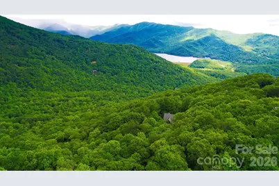 4 White Birch Court #422, Black Mountain, NC 28711 - Photo 2