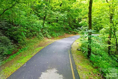 4 White Birch Court #422, Black Mountain, NC 28711 - Photo 18