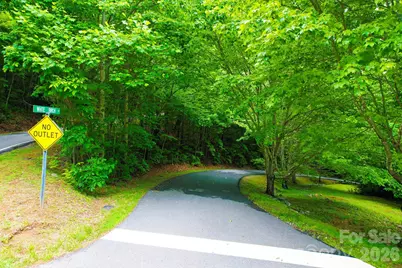4 White Birch Court #422, Black Mountain, NC 28711 - Photo 6