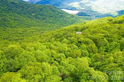 4 White Birch Court #422, Black Mountain, NC 28711 - Photo 10