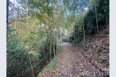 6 Dividing Ridge Trail #01, Arden, NC 28704 - Photo 2