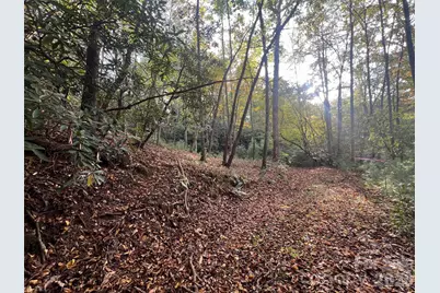 6 Dividing Ridge Trail #01, Arden, NC 28704 - Photo 14