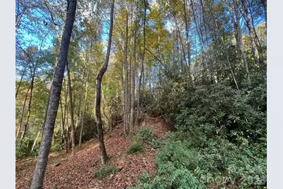 6 Dividing Ridge Trail #01, Arden, NC 28704 - Photo 16