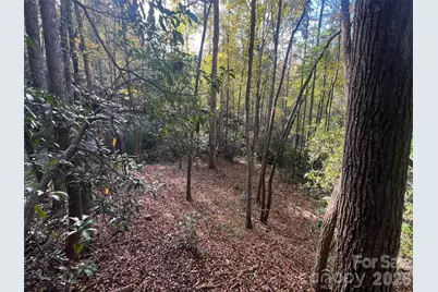 6 Dividing Ridge Trail #01, Arden, NC 28704 - Photo 4