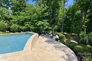 11710 Egrets Point Drive, Charlotte, NC 28278 - Photo 38