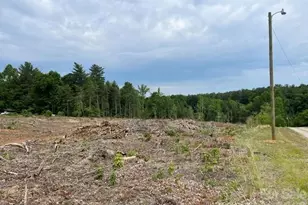 Tbd Fowler Rd, Granite Falls, NC 28630 - Photo 1