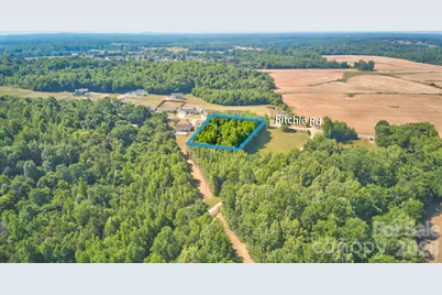 000 Ritchie Road, Lincolnton, NC 28092 - Photo 8