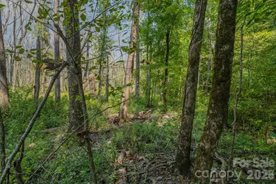 00 Stonehenge Court, Waxhaw, NC 28173 - Photo 18