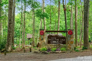 142 Wildflower Rd, Spruce Pine, NC 28777 - Photo 42