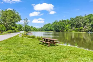 117 Willow Way, Hendersonville, NC 28739 - Photo 20
