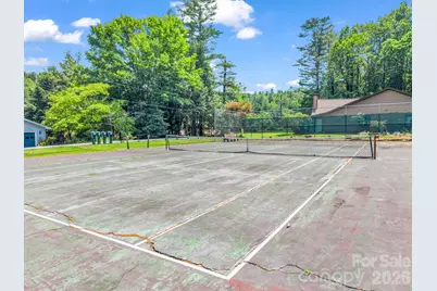 117 Willow Way, Hendersonville, NC 28739 - Photo 48