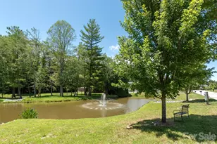 743 Summerfield Pl, Flat Rock, NC 28731 - Photo 44