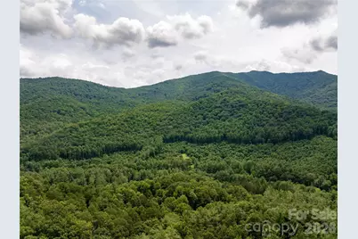 00 Lake Logan Road, Canton, NC 28716 - Photo 6