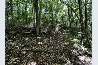 00 Lake Logan Road, Canton, NC 28716 - Photo 20